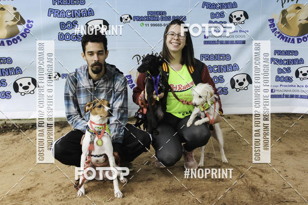 Buy your photos of the event2 PET RUNNER 2019 on Fotop