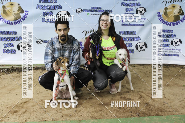 Buy your photos of the event2 PET RUNNER 2019 on Fotop