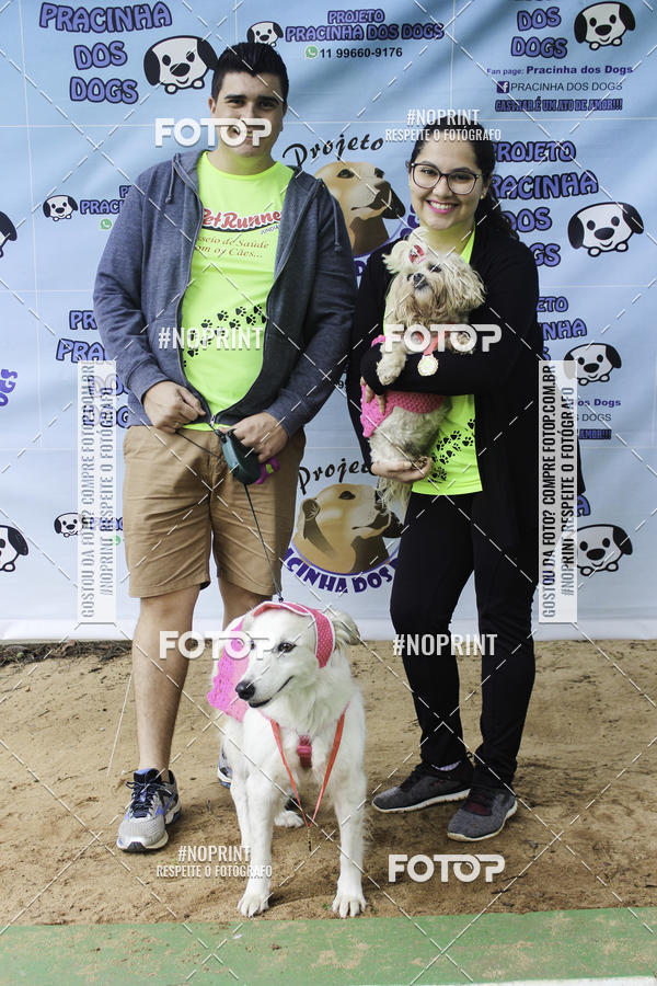 Buy your photos of the event2 PET RUNNER 2019 on Fotop