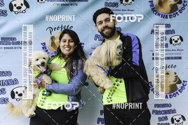 Buy your photos of the event2 PET RUNNER 2019 on Fotop