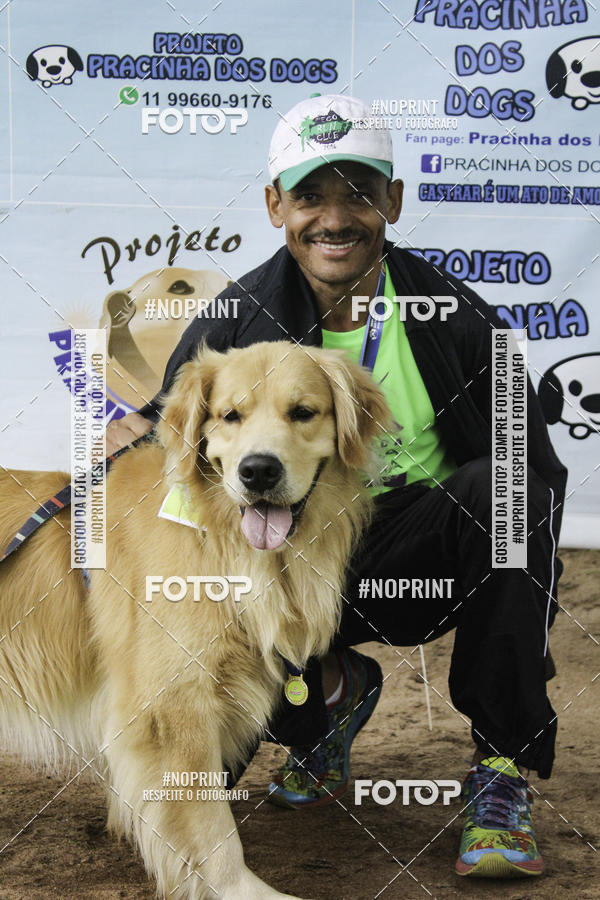 Buy your photos of the event2 PET RUNNER 2019 on Fotop