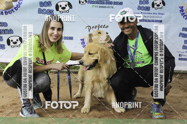 Buy your photos of the event2 PET RUNNER 2019 on Fotop