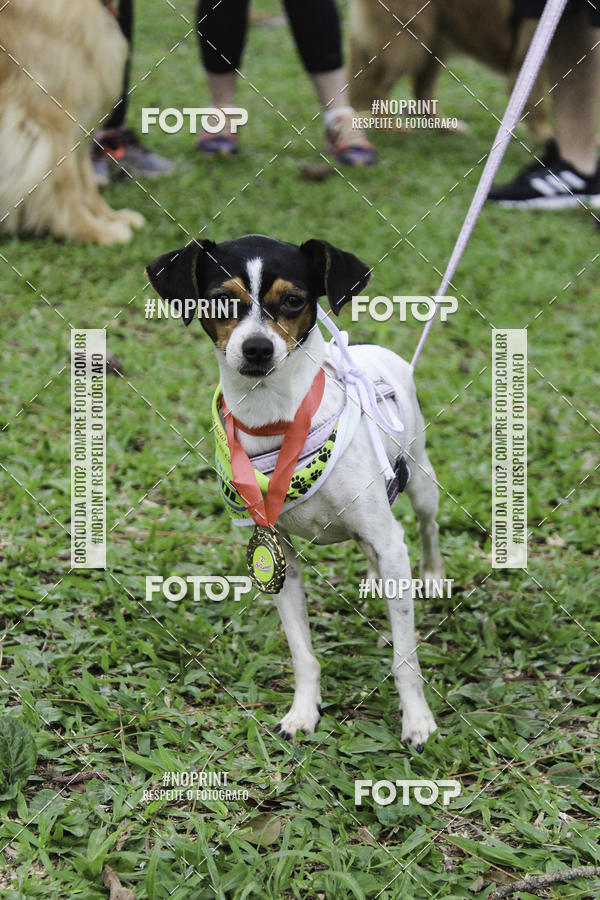 Buy your photos of the event2 PET RUNNER 2019 on Fotop