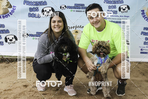 Buy your photos of the event2 PET RUNNER 2019 on Fotop