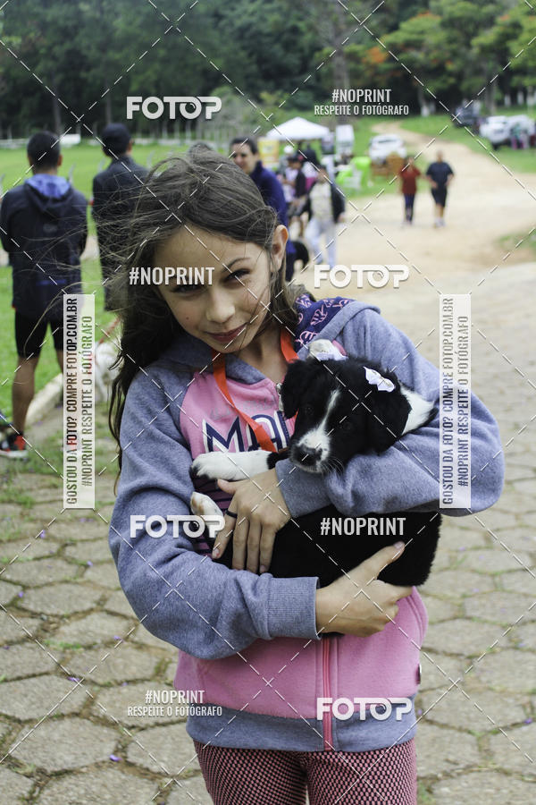 Buy your photos of the event2 PET RUNNER 2019 on Fotop