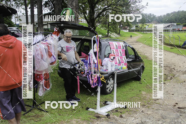 Buy your photos of the event2 PET RUNNER 2019 on Fotop