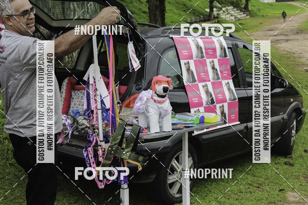 Buy your photos of the event2 PET RUNNER 2019 on Fotop