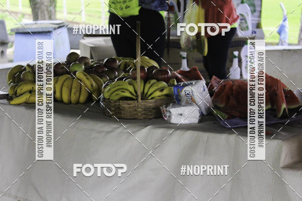 Buy your photos of the event2 PET RUNNER 2019 on Fotop