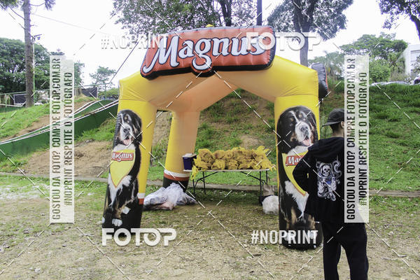 Buy your photos of the event2 PET RUNNER 2019 on Fotop