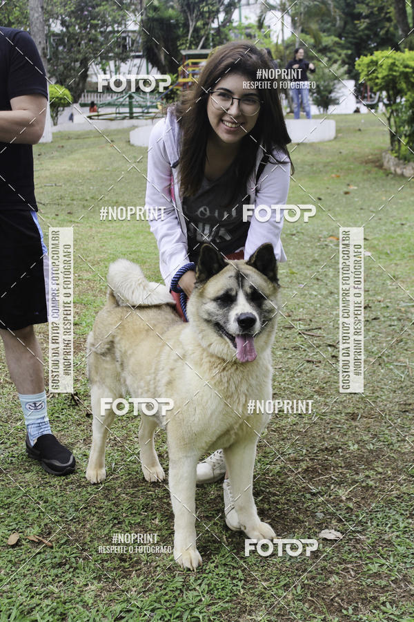 Buy your photos of the event2 PET RUNNER 2019 on Fotop