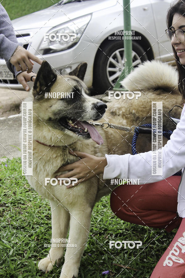 Buy your photos of the event2 PET RUNNER 2019 on Fotop