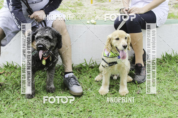 Buy your photos of the event2 PET RUNNER 2019 on Fotop