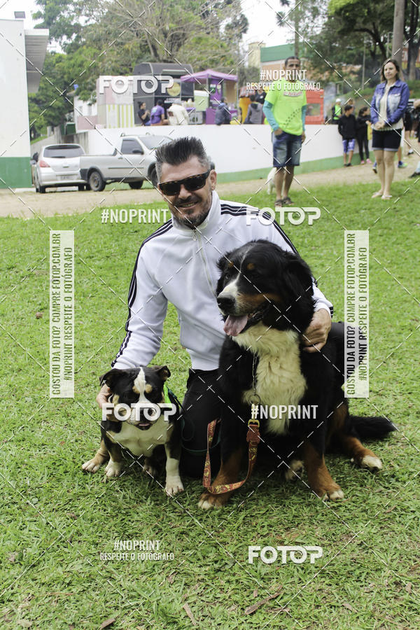 Buy your photos of the event2 PET RUNNER 2019 on Fotop