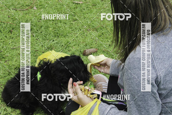 Buy your photos of the event2 PET RUNNER 2019 on Fotop