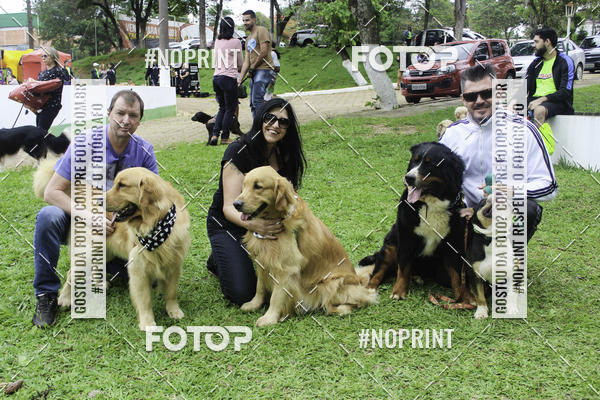 Buy your photos of the event2 PET RUNNER 2019 on Fotop