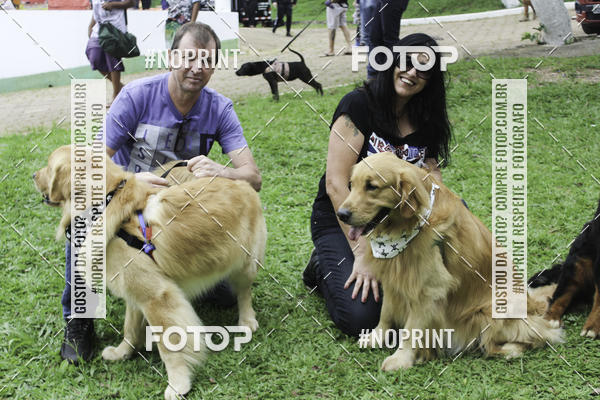 Buy your photos of the event2 PET RUNNER 2019 on Fotop