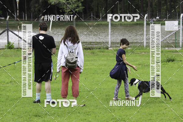 Buy your photos of the event2 PET RUNNER 2019 on Fotop