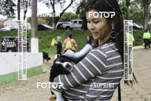 Buy your photos of the event2 PET RUNNER 2019 on Fotop