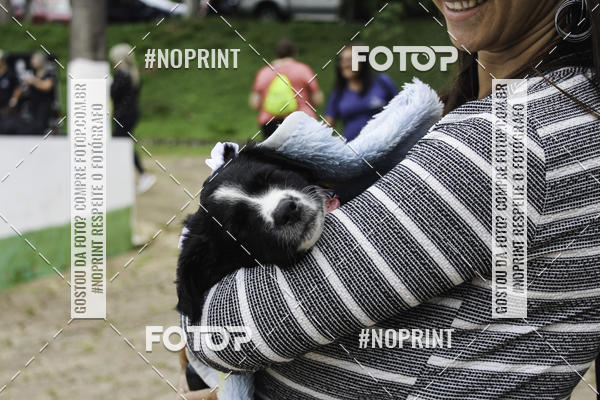 Buy your photos of the event2 PET RUNNER 2019 on Fotop