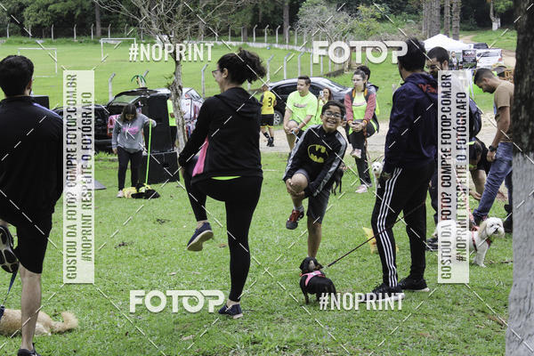 Buy your photos of the event2 PET RUNNER 2019 on Fotop