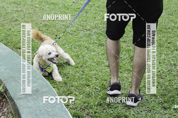 Buy your photos of the event2 PET RUNNER 2019 on Fotop