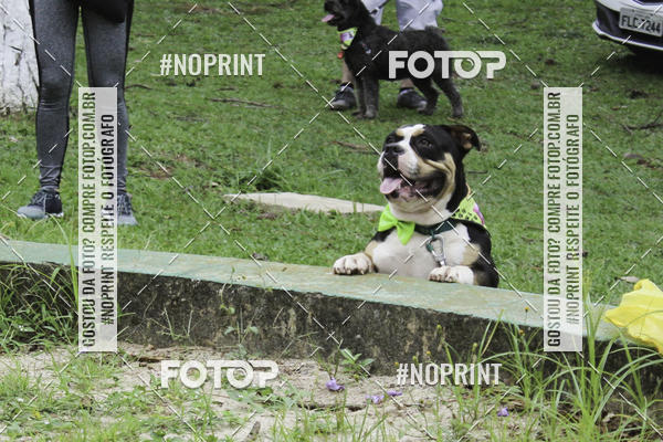 Buy your photos of the event2 PET RUNNER 2019 on Fotop