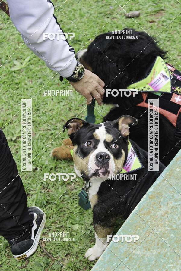 Buy your photos of the event2 PET RUNNER 2019 on Fotop