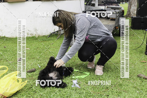 Buy your photos of the event2 PET RUNNER 2019 on Fotop