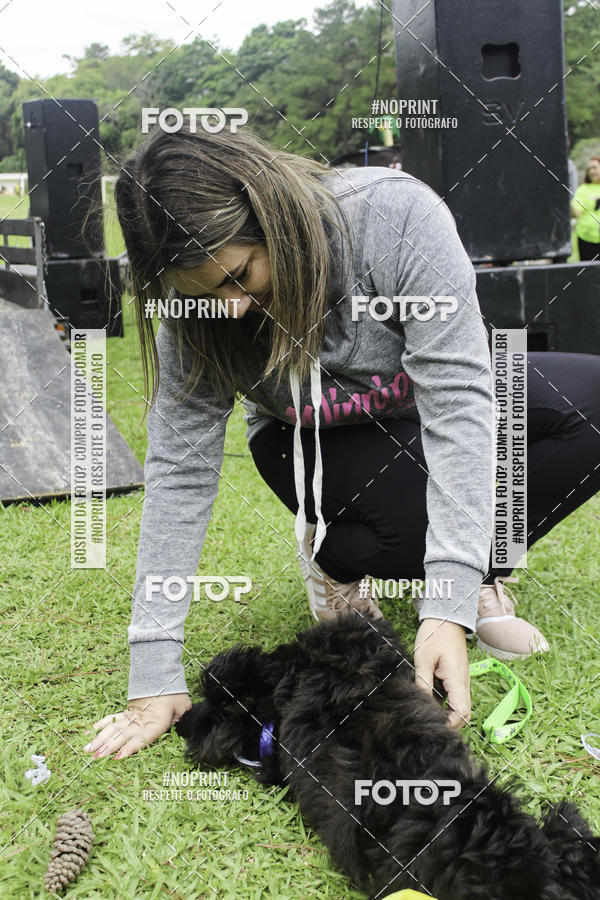 Buy your photos of the event2 PET RUNNER 2019 on Fotop