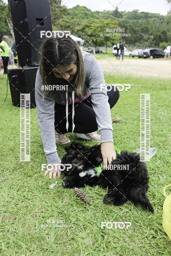 Buy your photos of the event2 PET RUNNER 2019 on Fotop