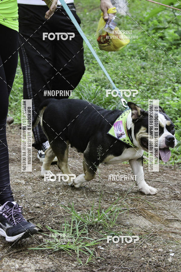 Buy your photos of the event2 PET RUNNER 2019 on Fotop