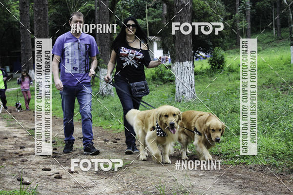 Buy your photos of the event2 PET RUNNER 2019 on Fotop