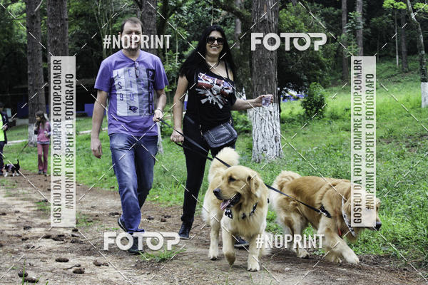 Buy your photos of the event2 PET RUNNER 2019 on Fotop