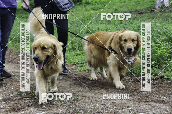 Buy your photos of the event2 PET RUNNER 2019 on Fotop
