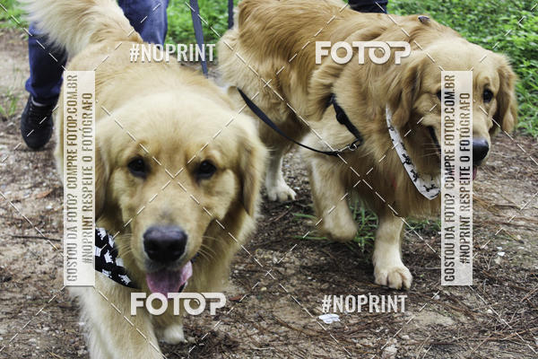 Buy your photos of the event2 PET RUNNER 2019 on Fotop