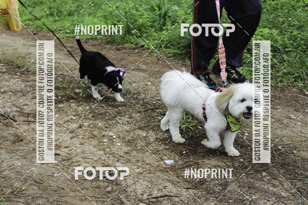 Buy your photos of the event2 PET RUNNER 2019 on Fotop