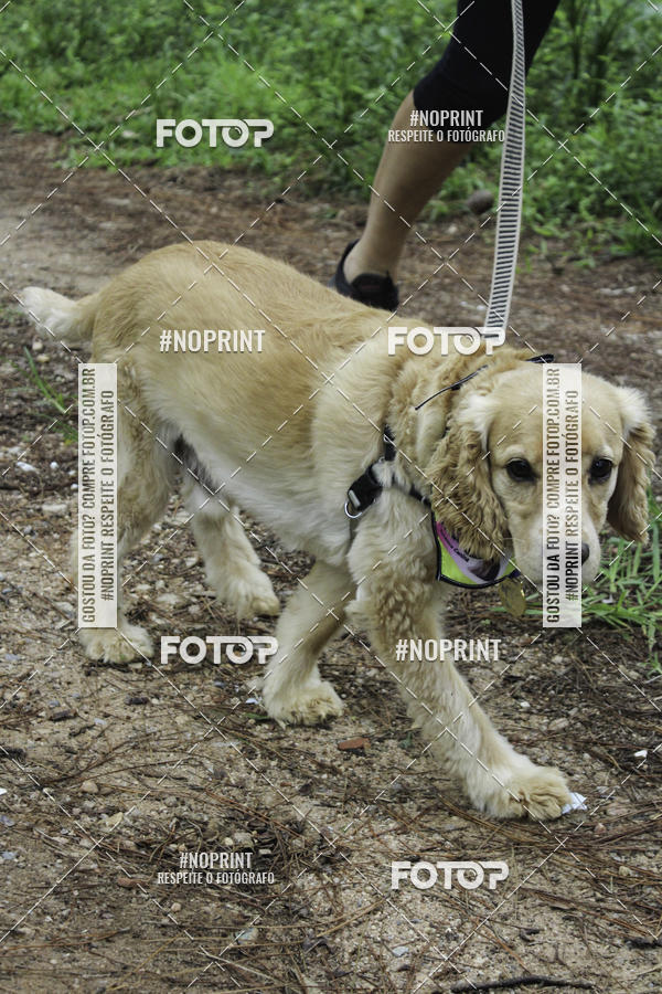 Buy your photos of the event2 PET RUNNER 2019 on Fotop