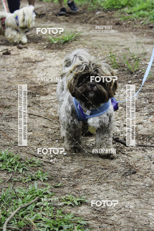 Buy your photos of the event2 PET RUNNER 2019 on Fotop