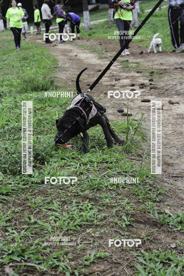 Buy your photos of the event2 PET RUNNER 2019 on Fotop