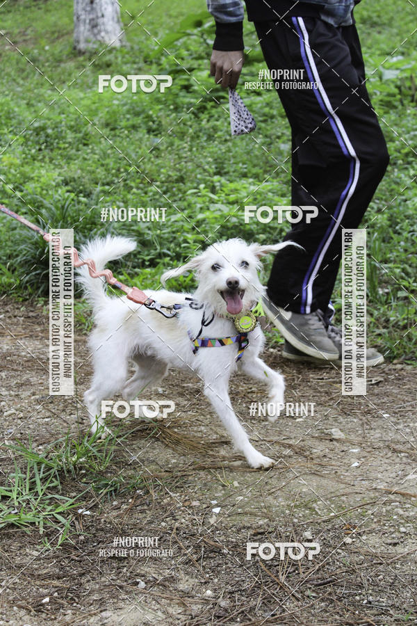 Buy your photos of the event2 PET RUNNER 2019 on Fotop
