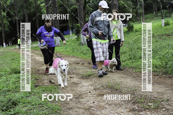 Buy your photos of the event2 PET RUNNER 2019 on Fotop