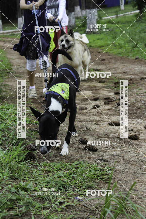 Buy your photos of the event2 PET RUNNER 2019 on Fotop