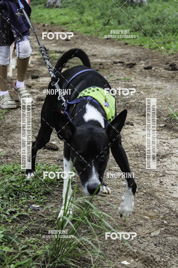 Buy your photos of the event2 PET RUNNER 2019 on Fotop
