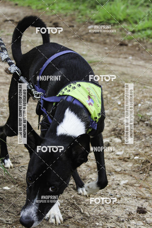 Buy your photos of the event2 PET RUNNER 2019 on Fotop