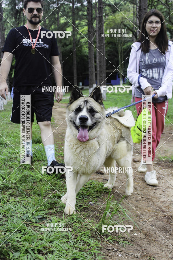 Buy your photos of the event2 PET RUNNER 2019 on Fotop