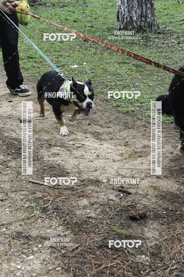 Buy your photos of the event2 PET RUNNER 2019 on Fotop