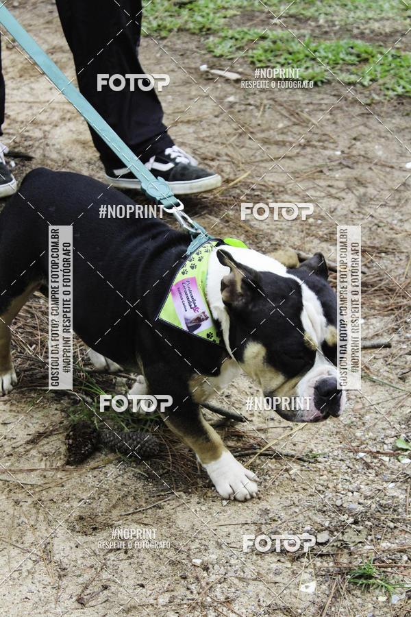 Buy your photos of the event2 PET RUNNER 2019 on Fotop