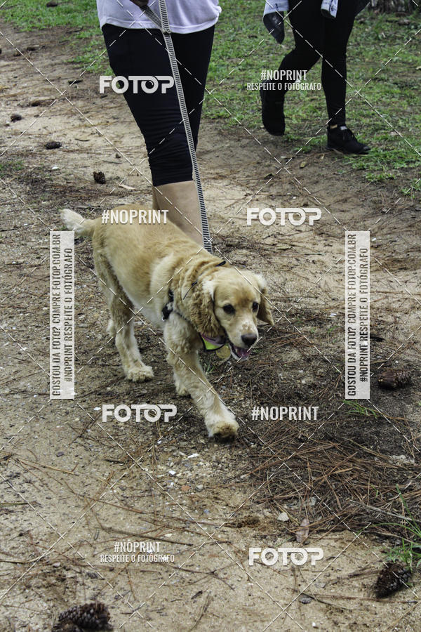 Buy your photos of the event2 PET RUNNER 2019 on Fotop