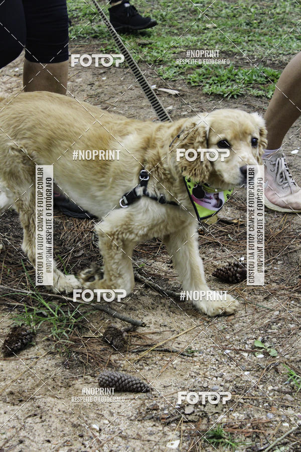 Buy your photos of the event2 PET RUNNER 2019 on Fotop
