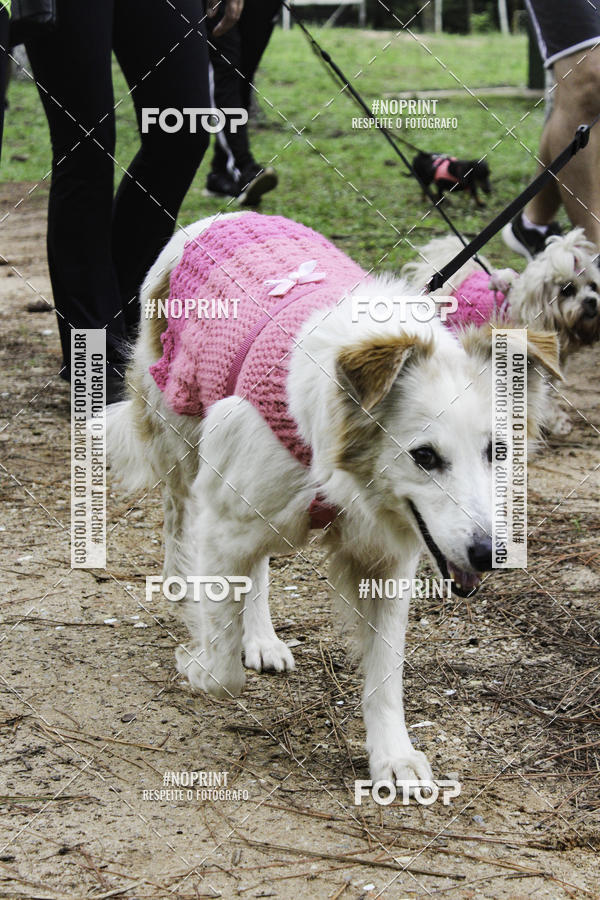 Buy your photos of the event2 PET RUNNER 2019 on Fotop